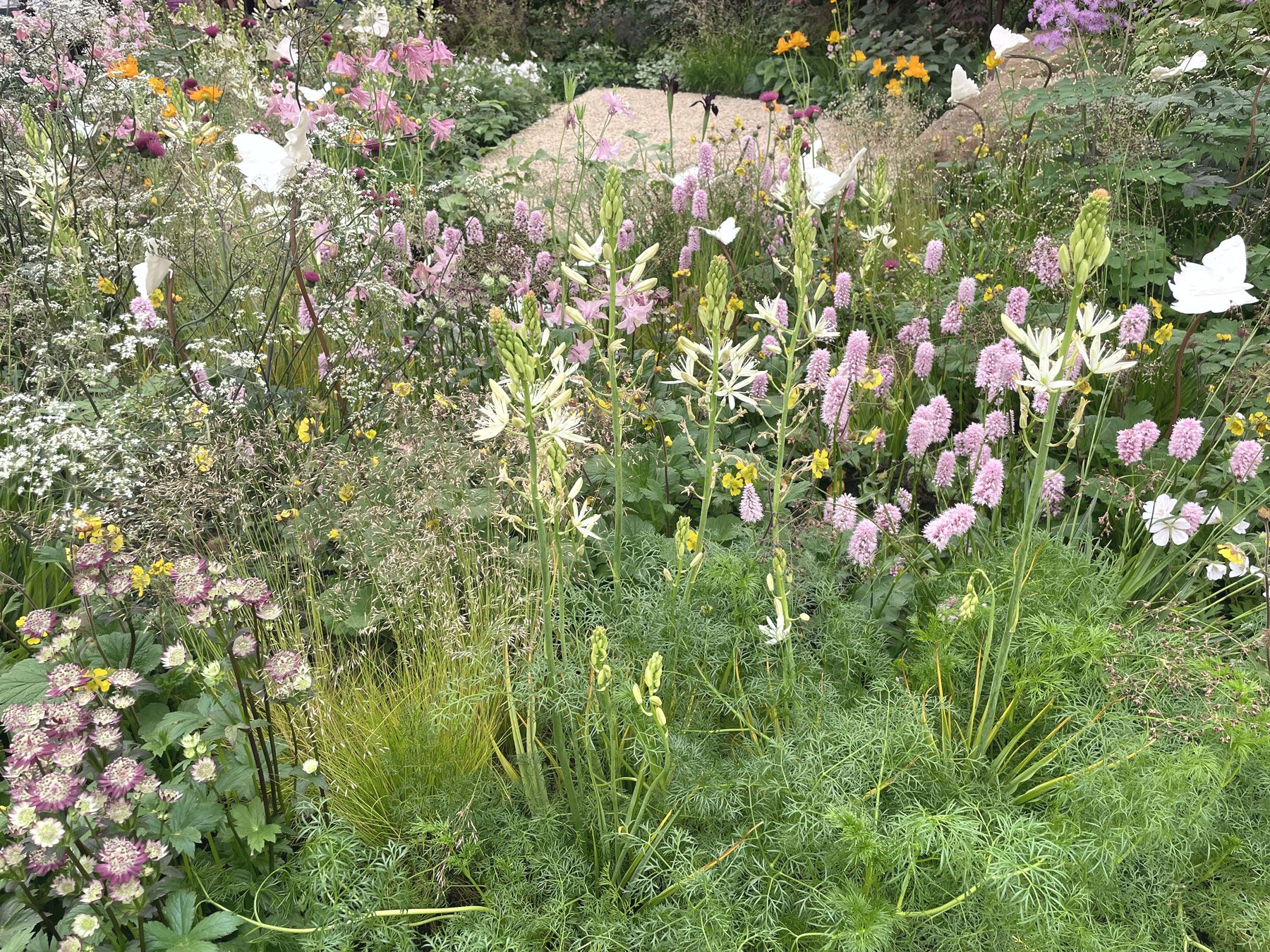 Garten und Landschaftsbau